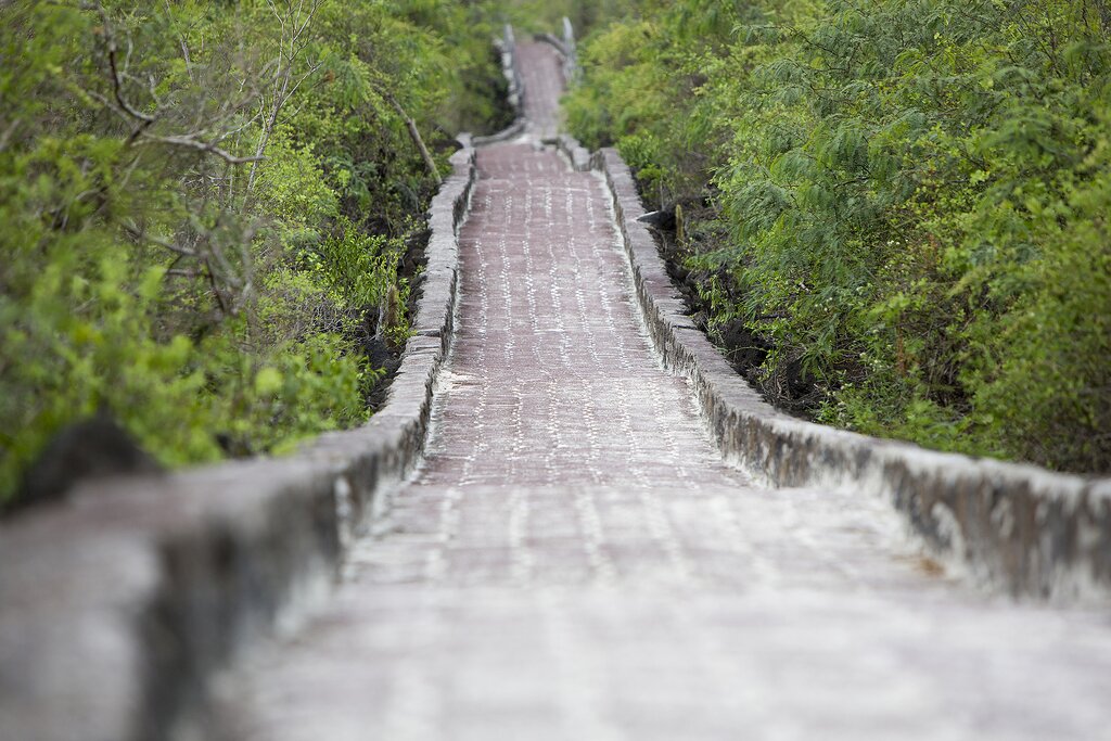Cobblestone path to the beach of Tortuga Bay in Puerto Ayora