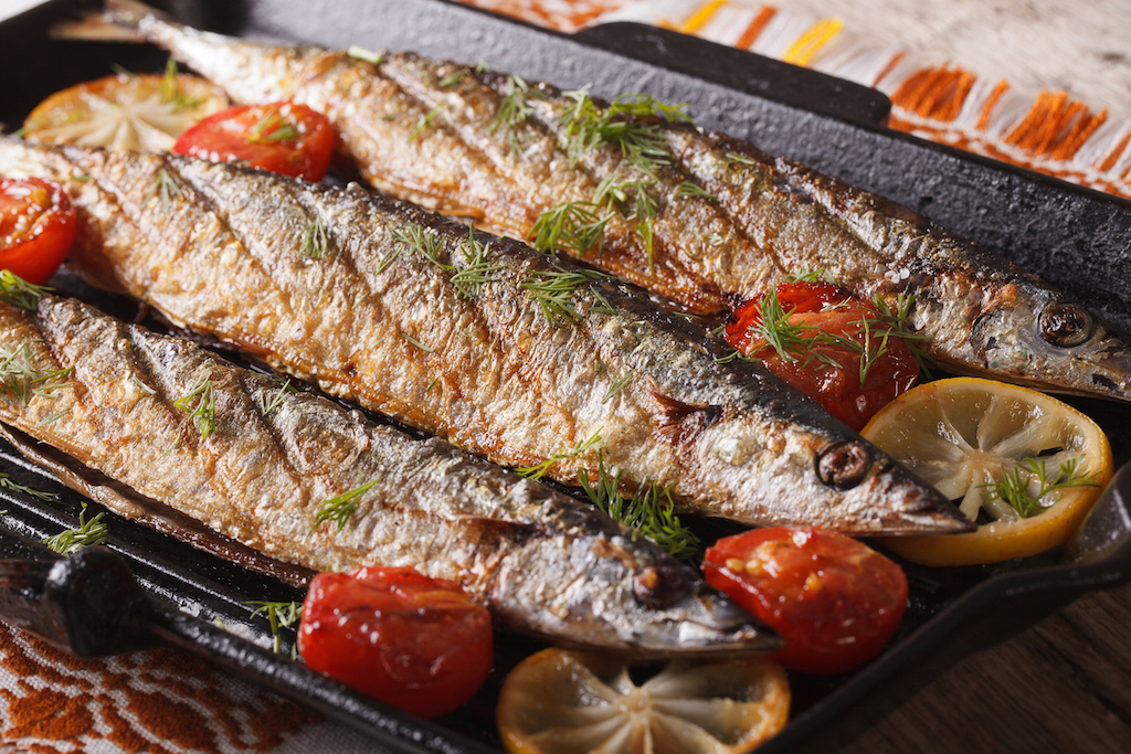 Fish
