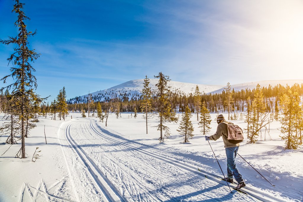Cross Country Skiing in Arctic Norway