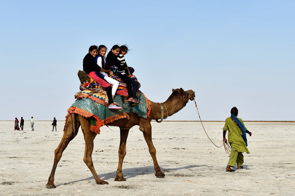 White Rann