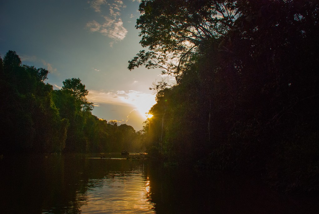 Kinabatangan River, Borneo