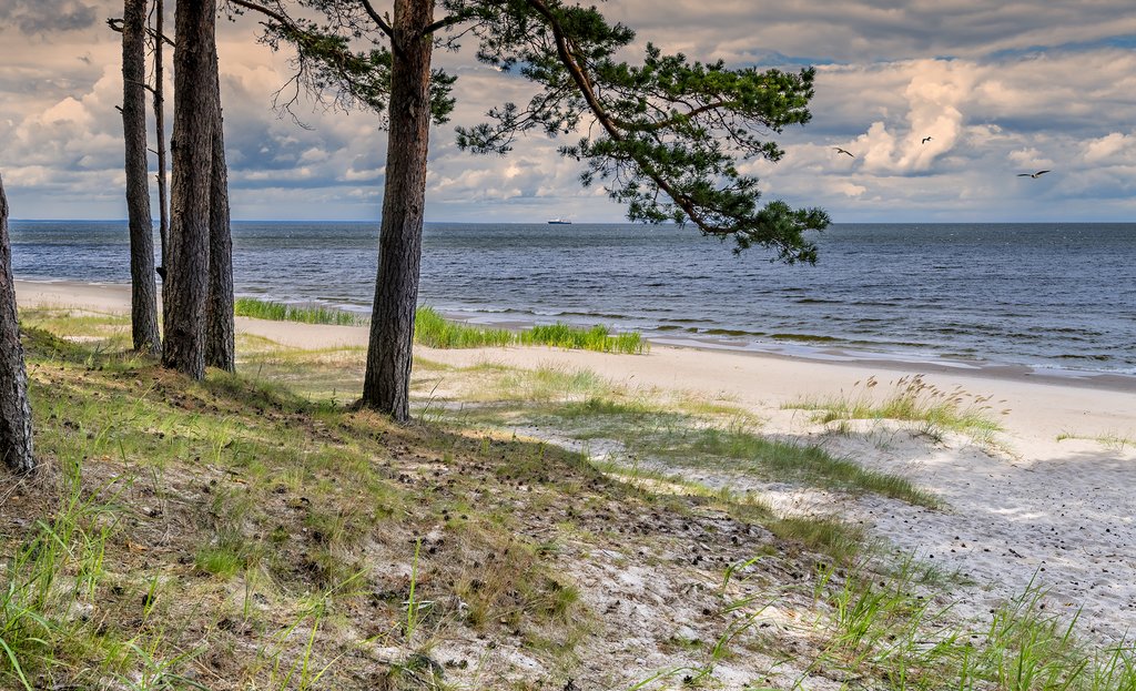 Beaches of Jūrmala