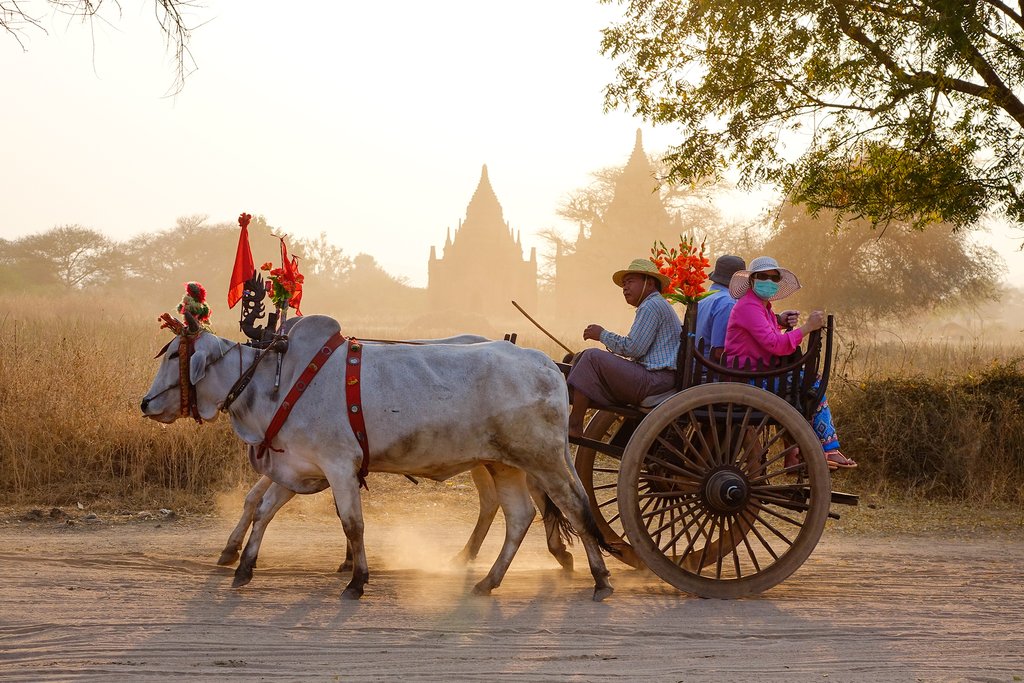 Sunset along the dirt roads of Bagan