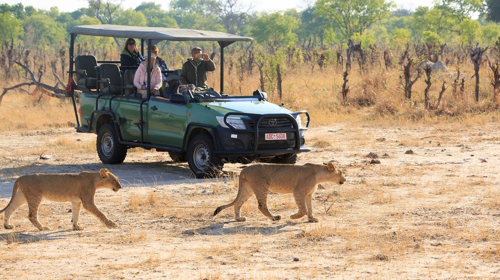 Hwange National Park