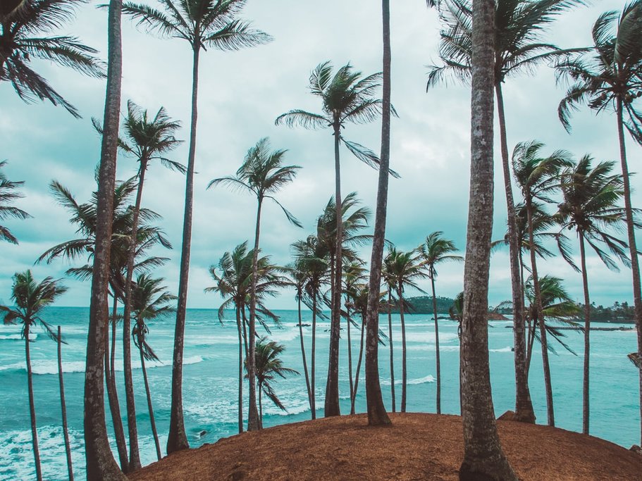 Coconut Hill