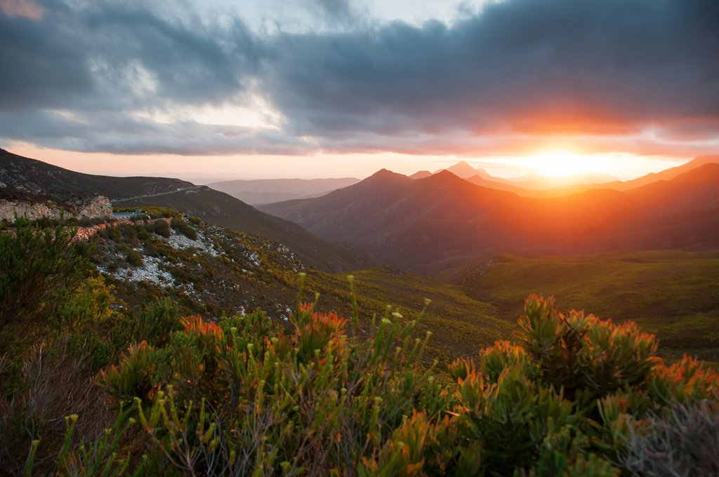 Sunset over the fynbos