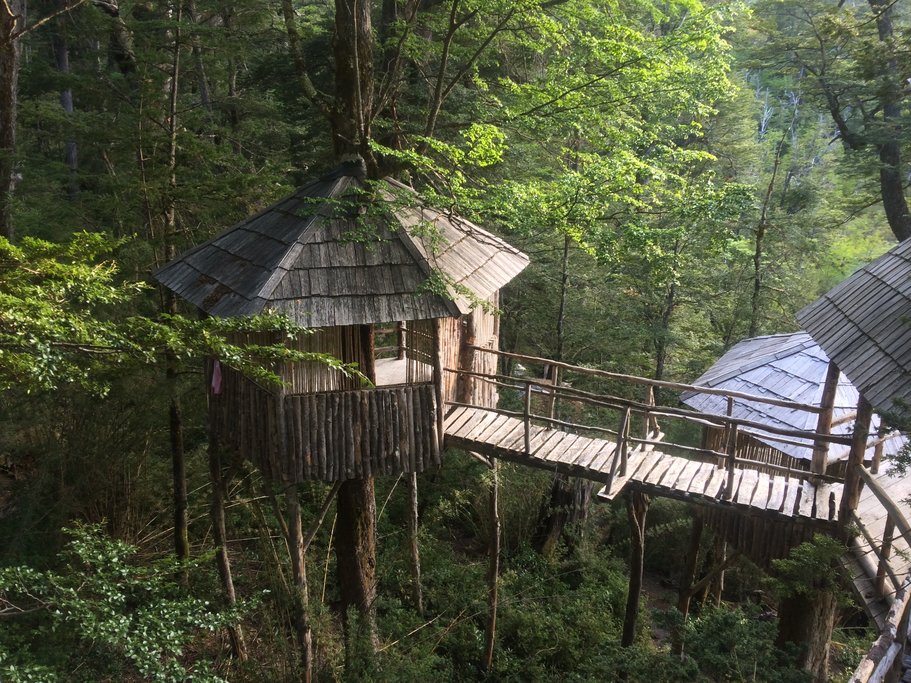 Tree House Camp