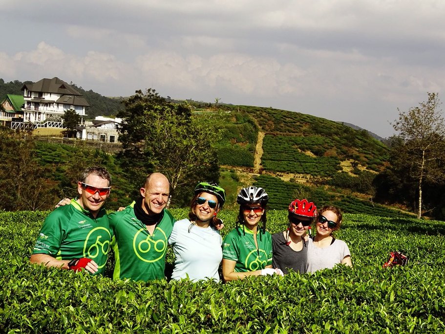 Today's trip includes a stop at a fully operational tea factory, where you can learn about growing and harvesting techniques