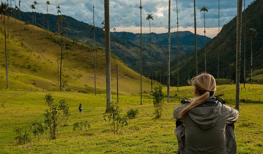 Girl with grey jacket sitting on green grass watching tall palm