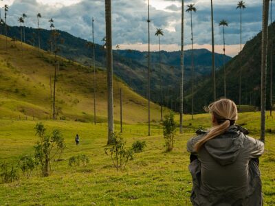 Girl with grey jacket sitting on green grass watching tall palm