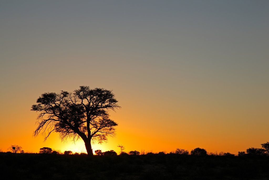 Kalahari sunset