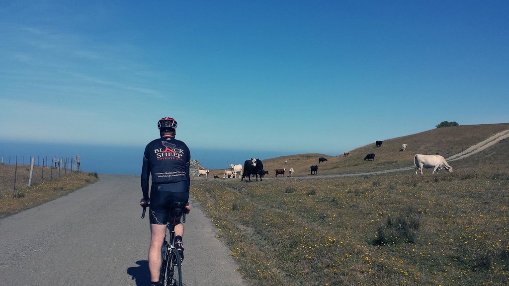 Ride past sunlit meadows toward the Pacific Ocean