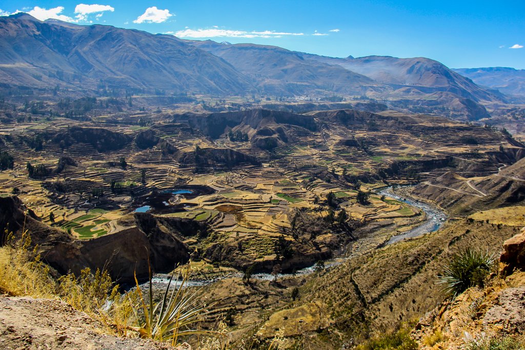 Colca Canyon