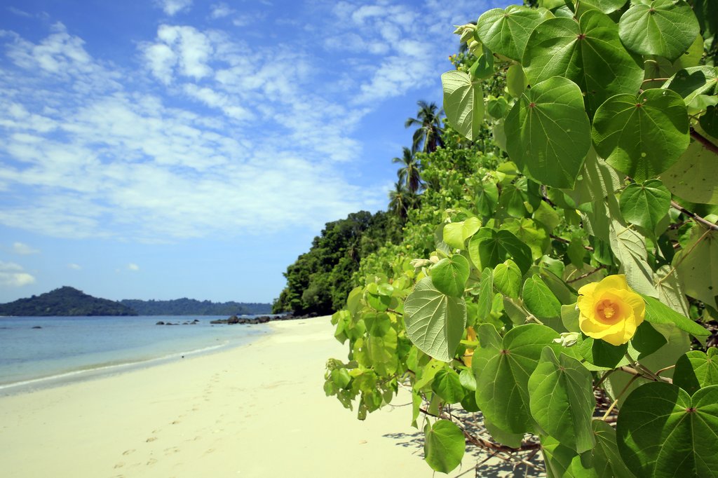 Coiba