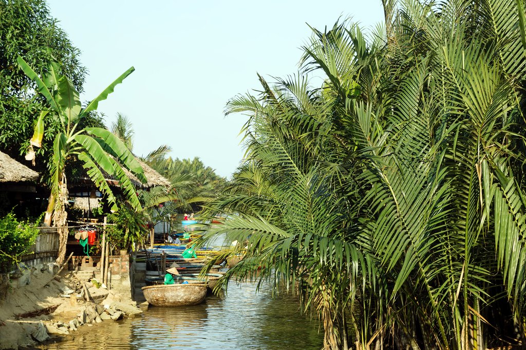 Row along the village of water coconut