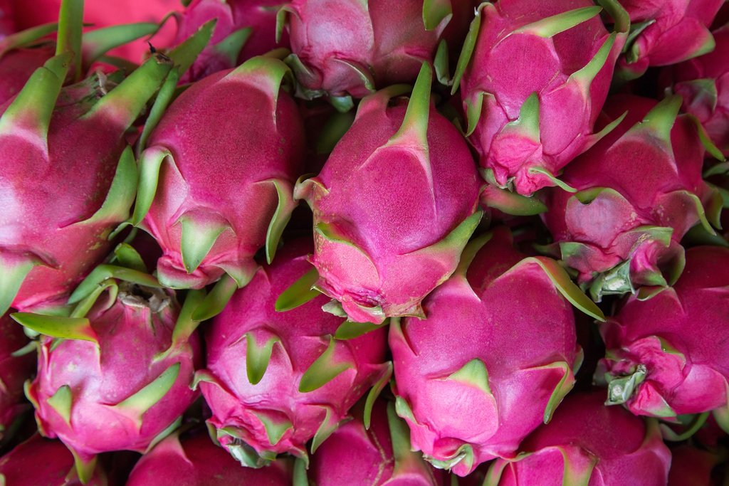 Dragon fruit