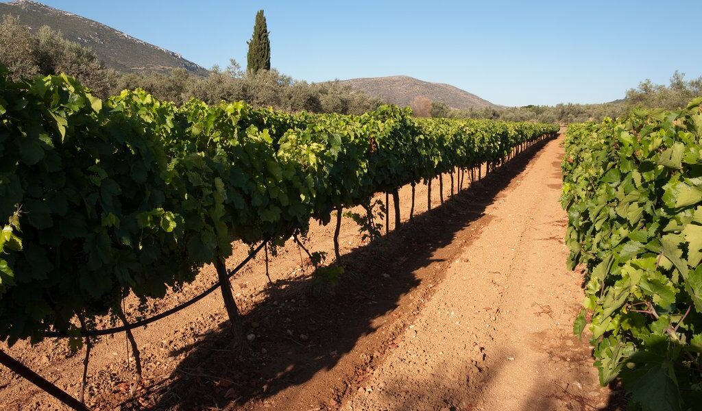 big-0e32cbb453d273f6f11b591befee0693