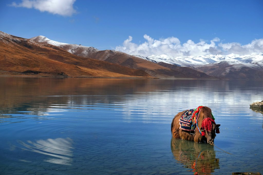 Yamdrok Lake