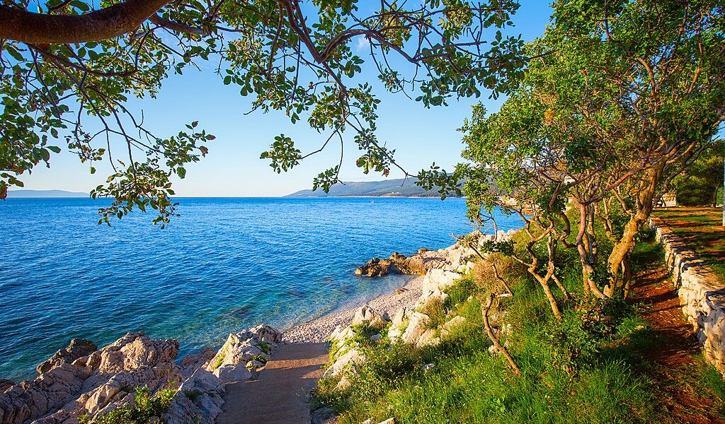 Amazing Rocky Beach With Crystalic Clean Sea Water With Pine Tre