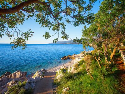 Amazing Rocky Beach With Crystalic Clean Sea Water With Pine Tre