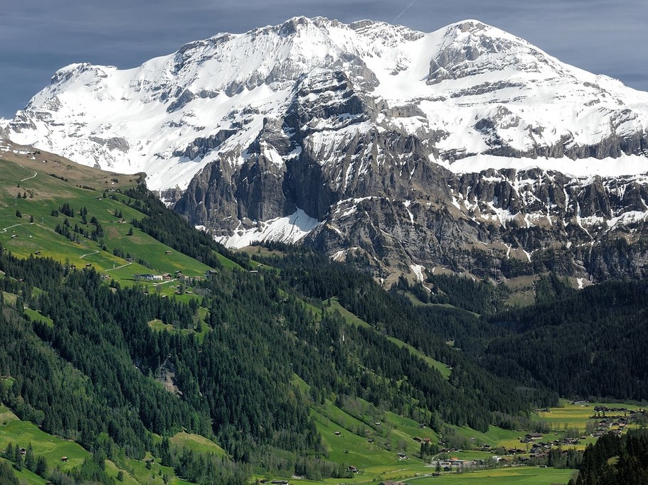Lenk