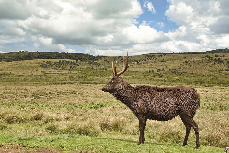World's End in Horton Plains