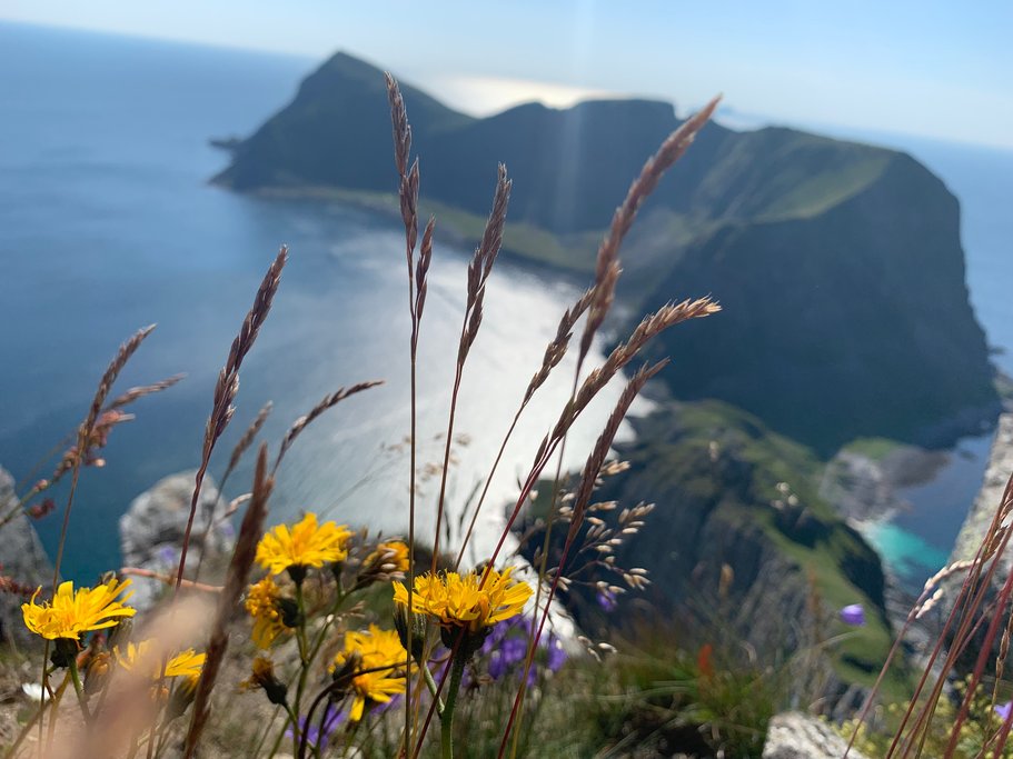 Summer views across Værøy