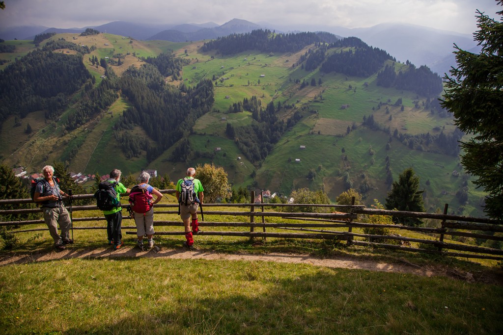 Foot of the Bucegi Mountains