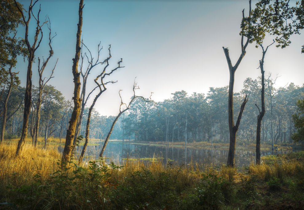 Chitwan National Park