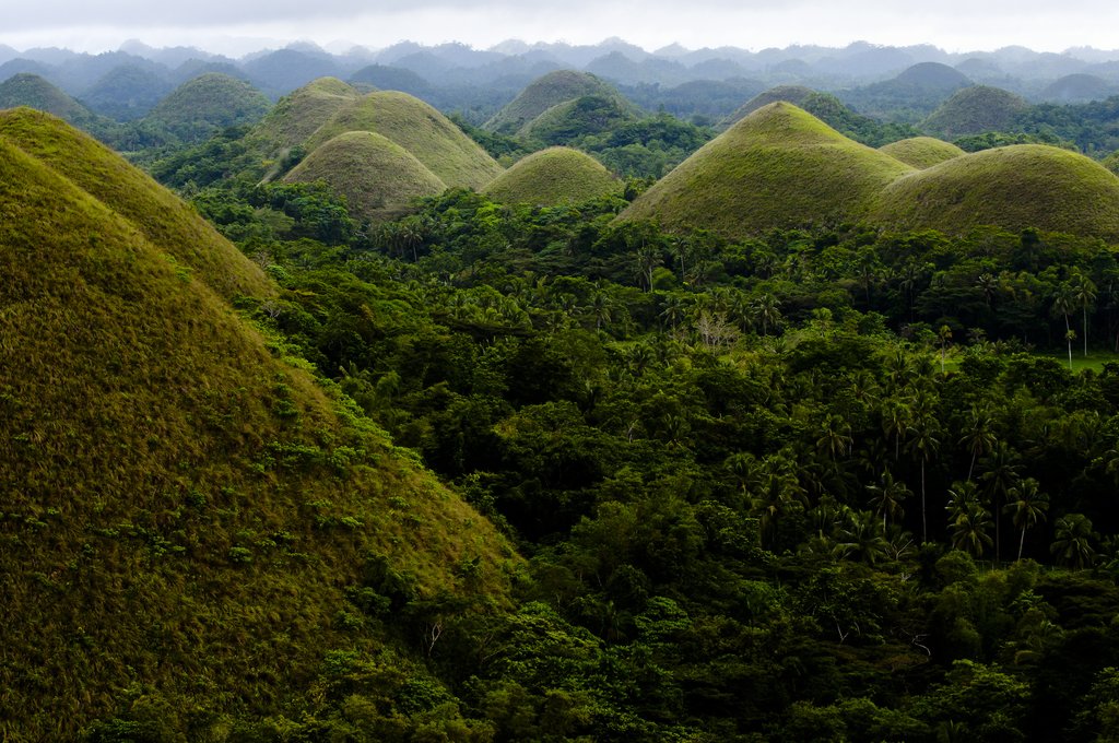 Chocolate Hills, Bohol the Philippines