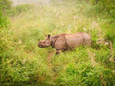 big-12b7c18c11bf097f7df177a3021c3505