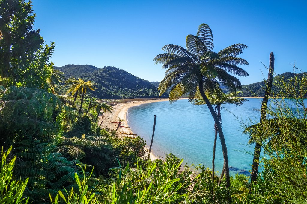 New Zealand - Abel Tasman National Park. White sand bay and turquoise sea