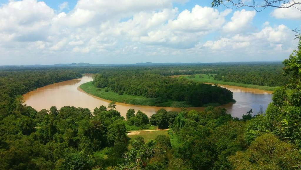 Kinabatangan River