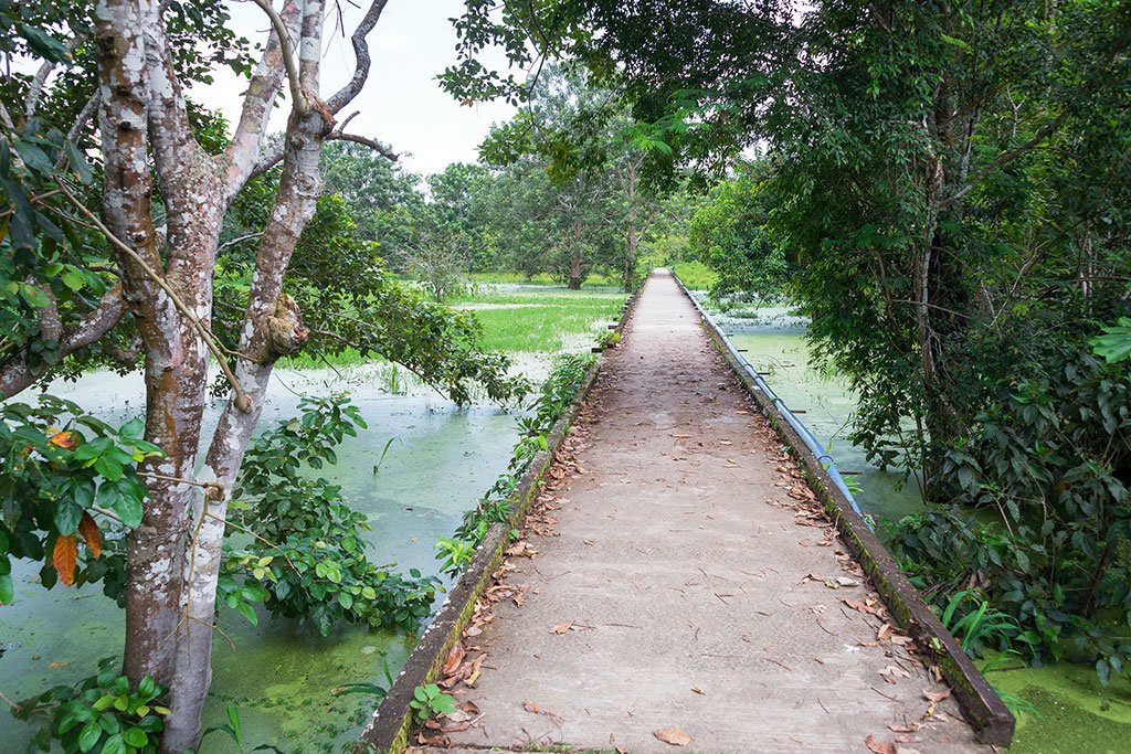 Puerto Narino