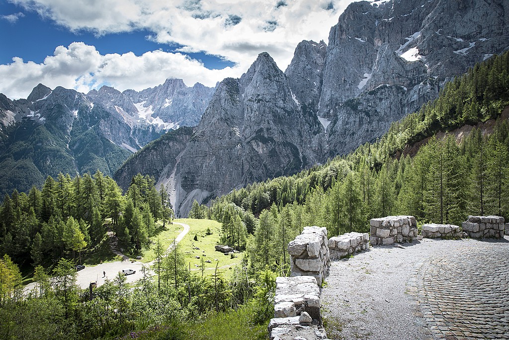 Trailside scenery