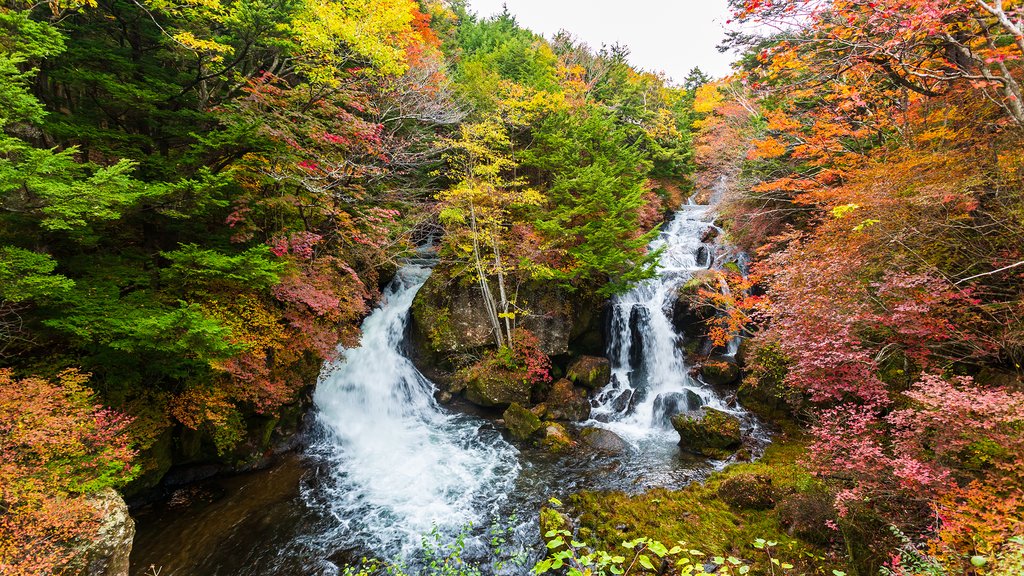 Ryuzu Falls, Nikko