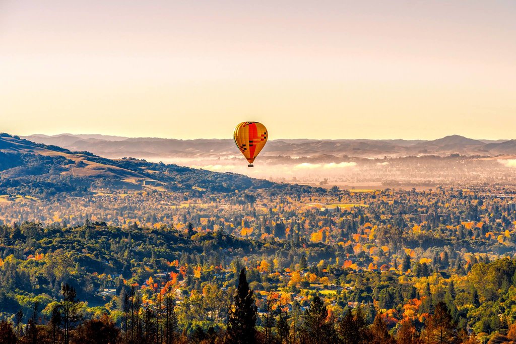 Hot air balloon over vineyards (Photos courtesy of Calistoga Balloons)