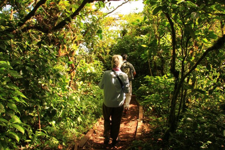 Sustainable Nicaragua - 11 Days