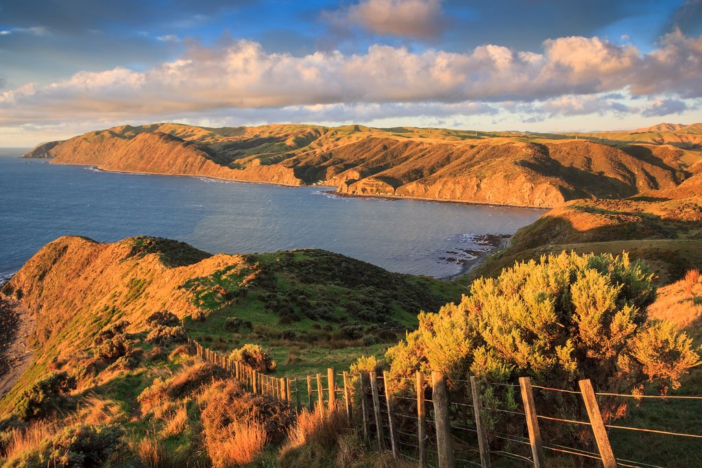 Goodbye, Wellington!