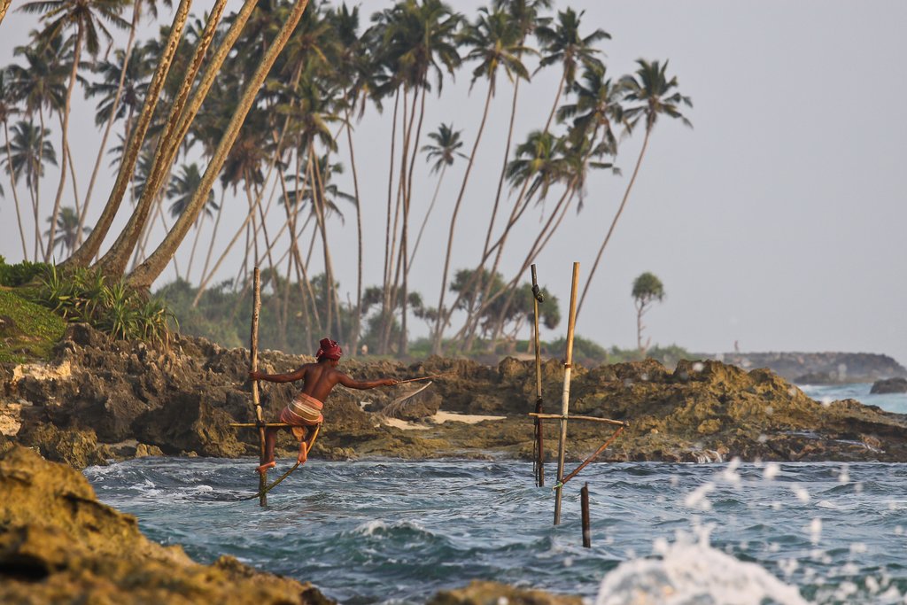 Witness local fishermen fishing in the traditional style on stilts