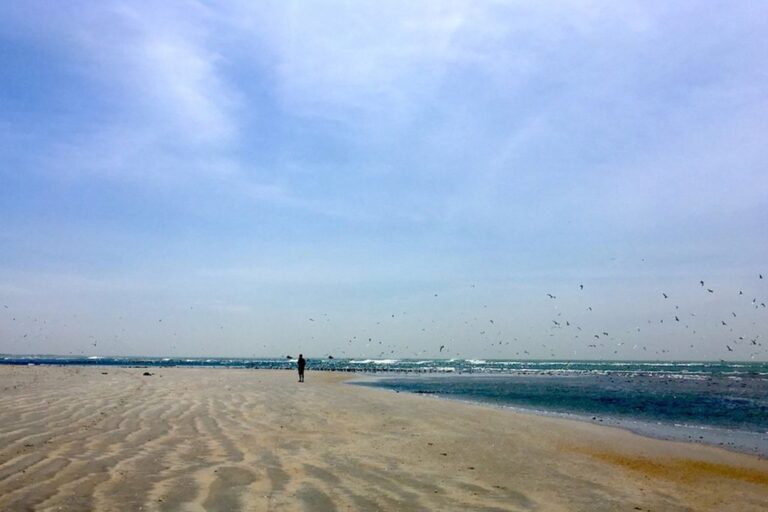 How Many Days Should You Spend In Gambia