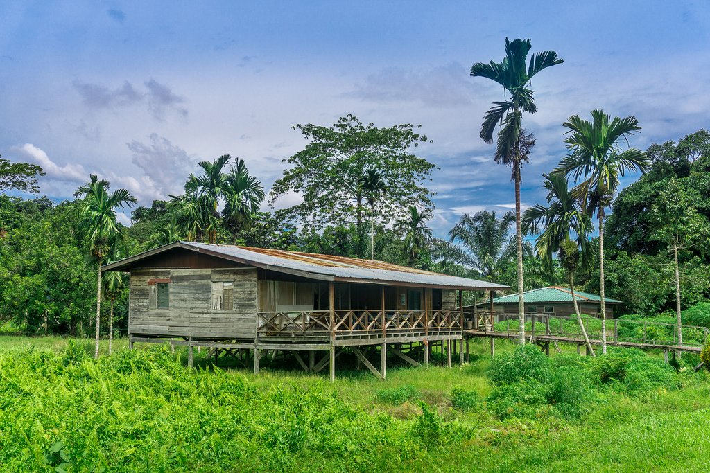 Mulu National Park