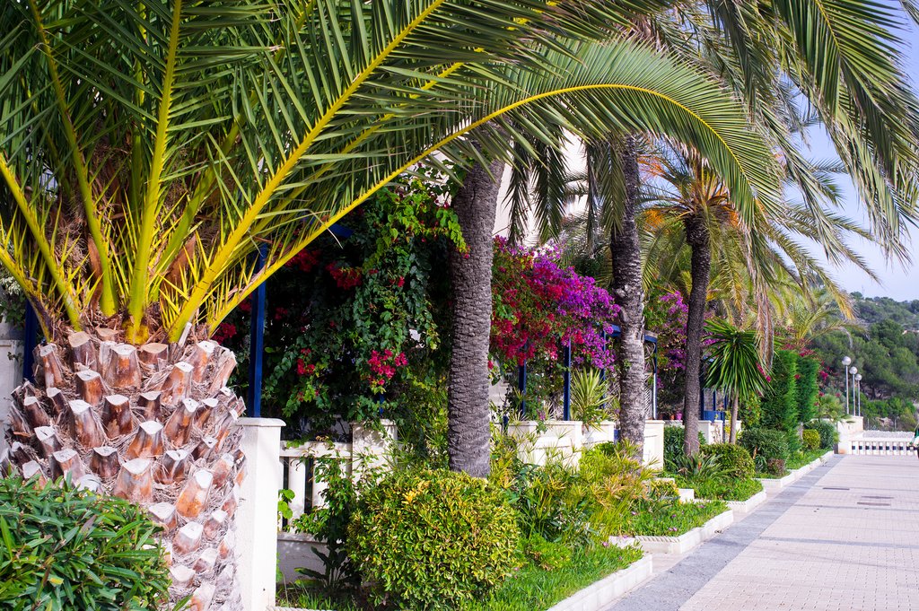 Take a stroll when you get back to Barcelona