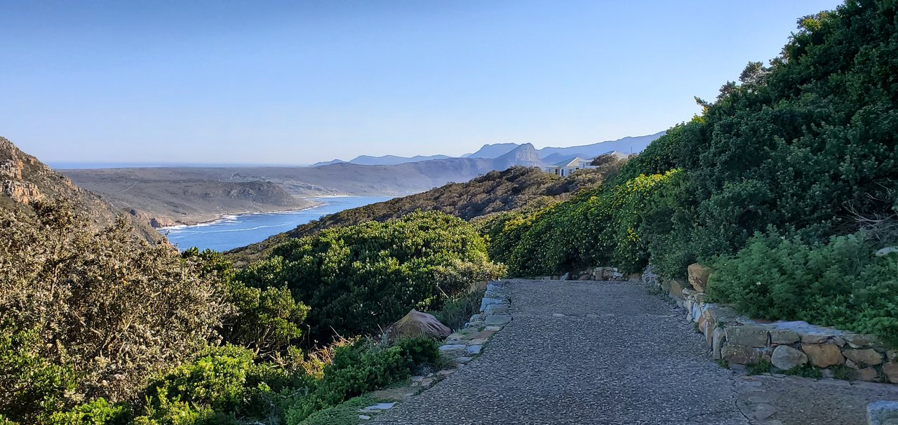 Cape point | Photo taken by lilia s