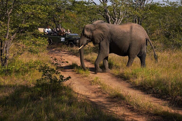 Victoria Falls & Botswana Safari - 6 Days