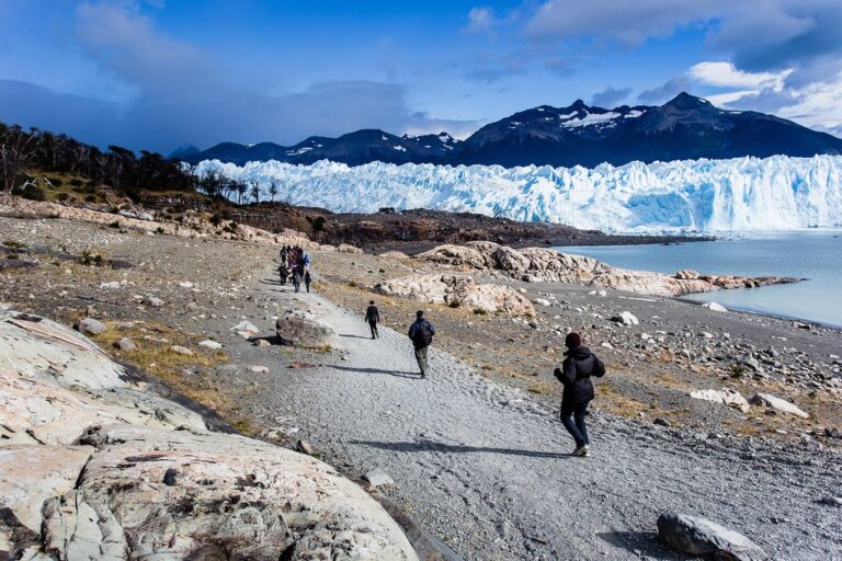 Torres del Paine & El Calafate - 8 Days