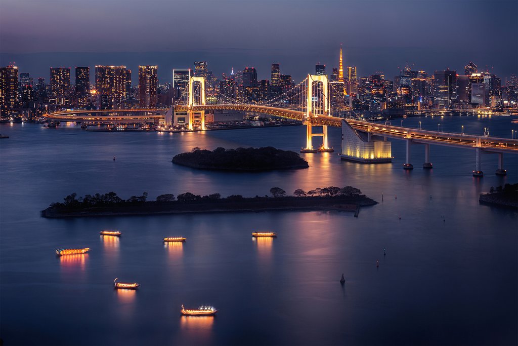The Tokyo skyline at night.
