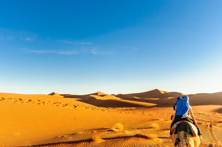 Sahara Desert In Morocco In August Travel Tips Weather And More