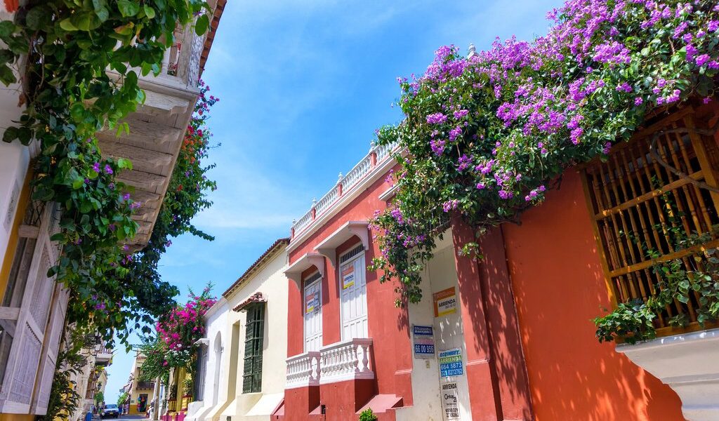 Flowers And Colonial Facades