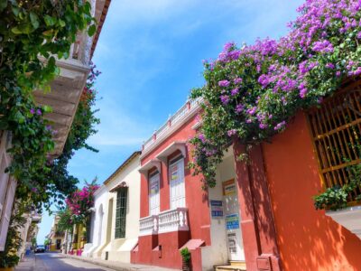 Flowers And Colonial Facades